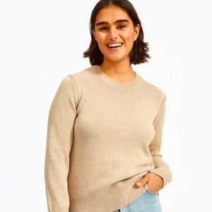 Everlane Soft Cotton Crewneck Sweater